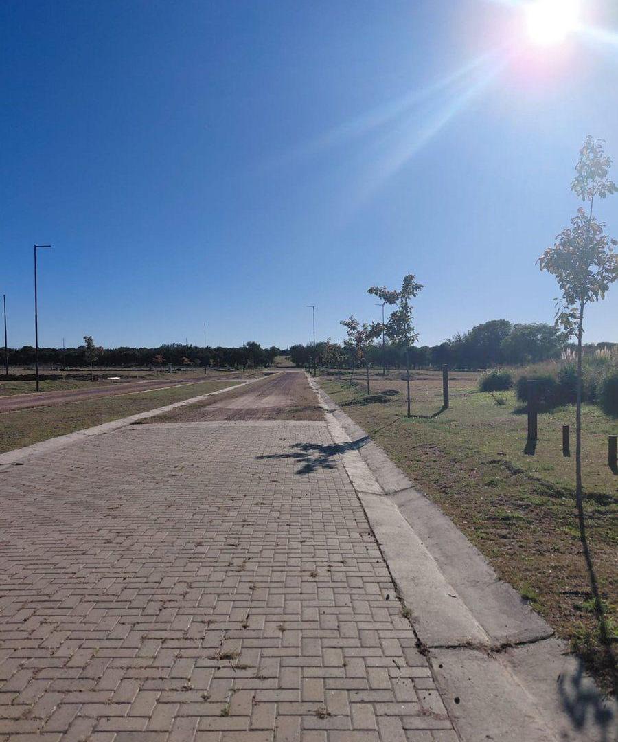 Foto de VENTA LOTE SINSACATE VISTA REAL CORBOBA, imagen 1