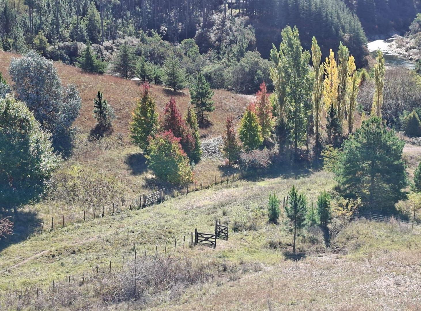 Foto de VENTA LOTE SAN MIGUEL DE LOS RIOS YACANTO CÓRDOBA, imagen 4