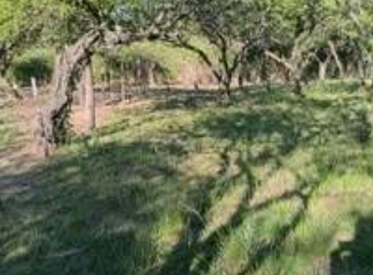 Foto de VENTA TERRENO CERRITOS, VILLA LA BOLSA, CORDOBA, imagen 5