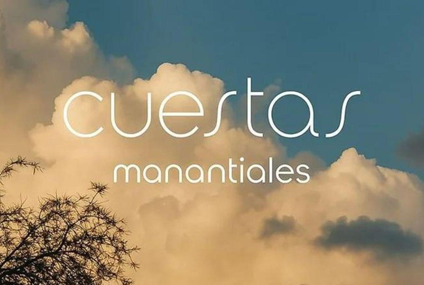 Foto de VENTA LOTE CENTRAL FONDO NORTE CUESTAS MANANTIALES, imagen 4