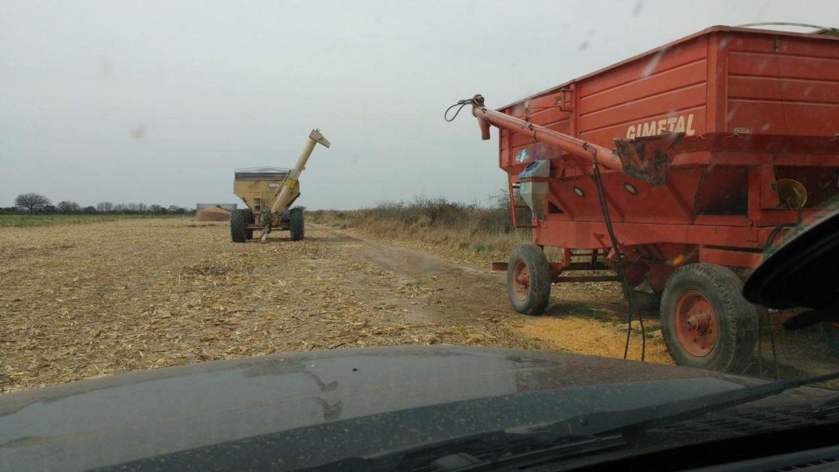 Foto de CAMPO MIXTO 385 HA CON RENTA VIGENTE - RIO PRIMERO, imagen 3