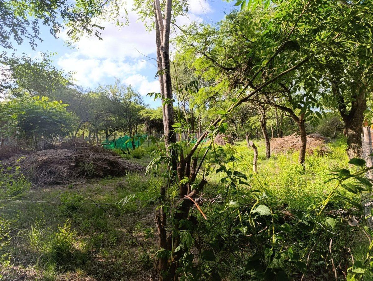 Foto de VENTA DE LOTE C/ GAS NATURAL EN B°4 HORIZONTES VGB, imagen 2