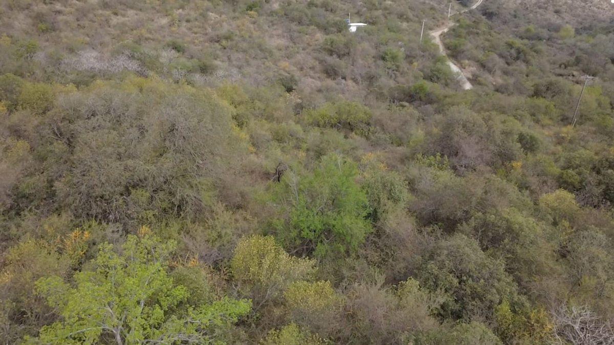 Foto de VENTA LOTE EN LA PAISANITA, imagen 1