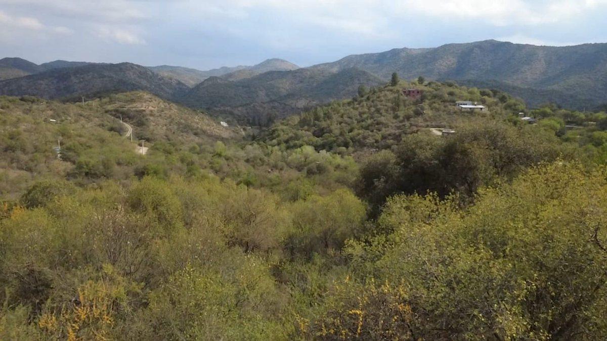Foto de VENTA LOTE EN LA PAISANITA, imagen 2