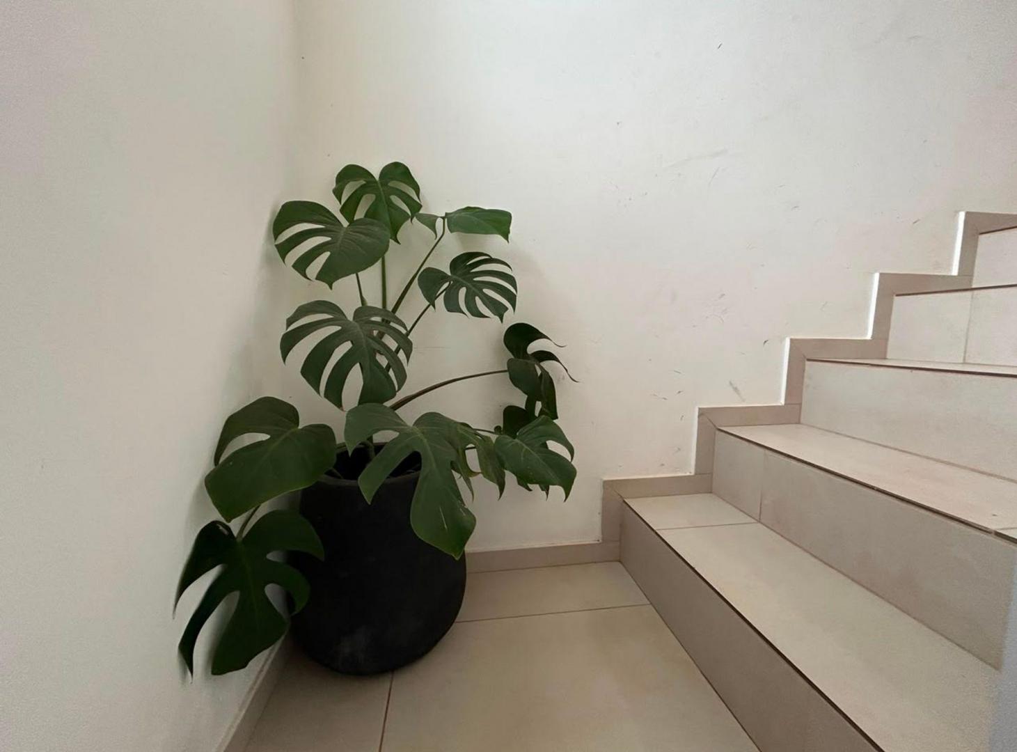 Foto de VENTA DUPLEX 2 DORMITORIOS - RIO TERCERO CÓRDOBA, imagen 5