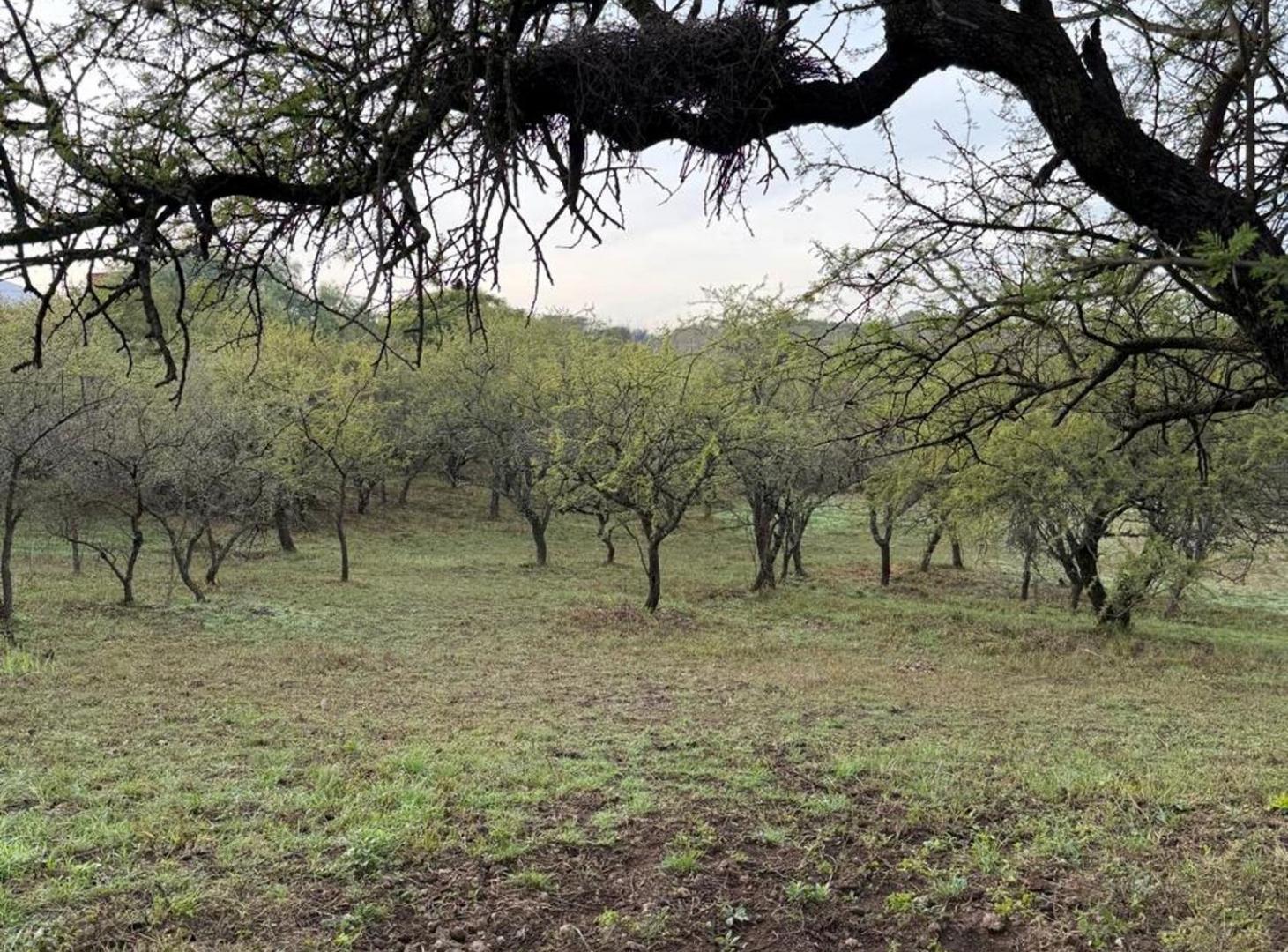 Foto de LOTE EN VENTA MENDIOLAZA GOLF CORDOBA, imagen 2