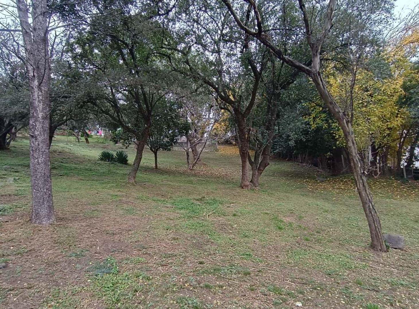 Foto de VENTA TERRENO 2952 Mt2 SUBDIVIDIDO UNQUILLO CBA, imagen 2
