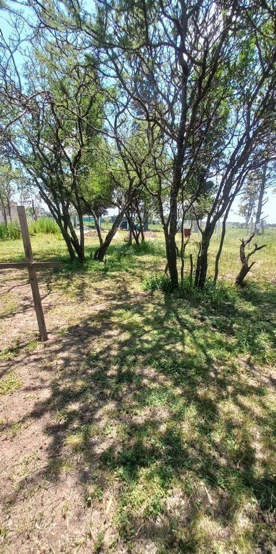 Foto de VENTA DE LOTE EN VILLA LA DONOSA, ALTA GRACIA, imagen 5