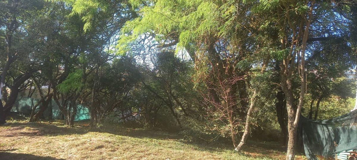 Foto de VENTA TERRENO EN COUNTRY 5 LOMAS,CORDOBA, imagen 1