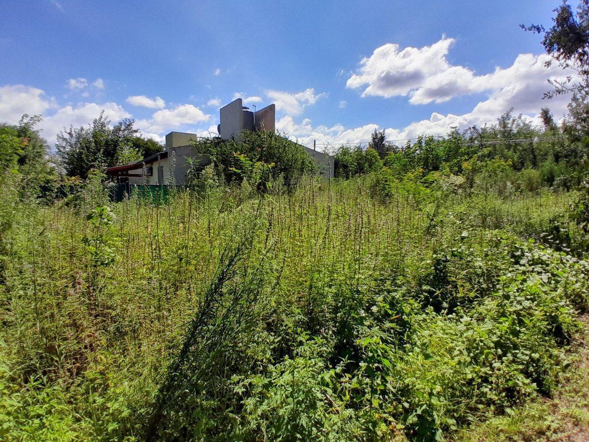 Foto de VENTA LOTE RIO CEBALLOS CORDOBA, imagen 5