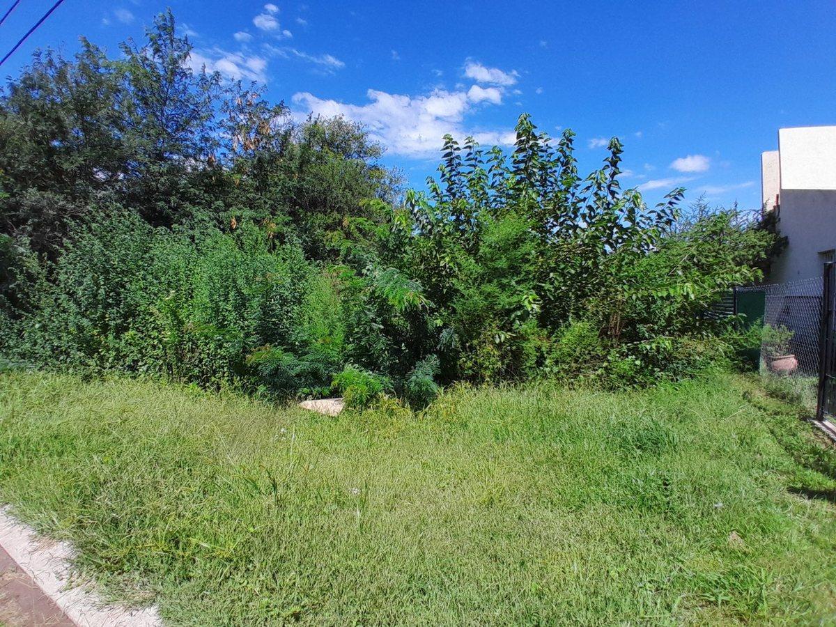 Foto de VENTA LOTE RIO CEBALLOS CORDOBA, imagen 4