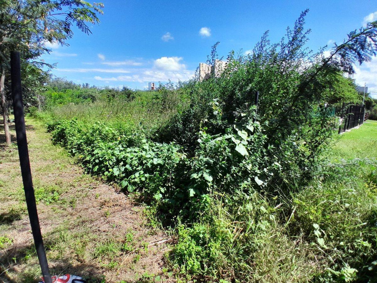 Foto de VENTA LOTE RIO CEBALLOS CORDOBA, imagen 2
