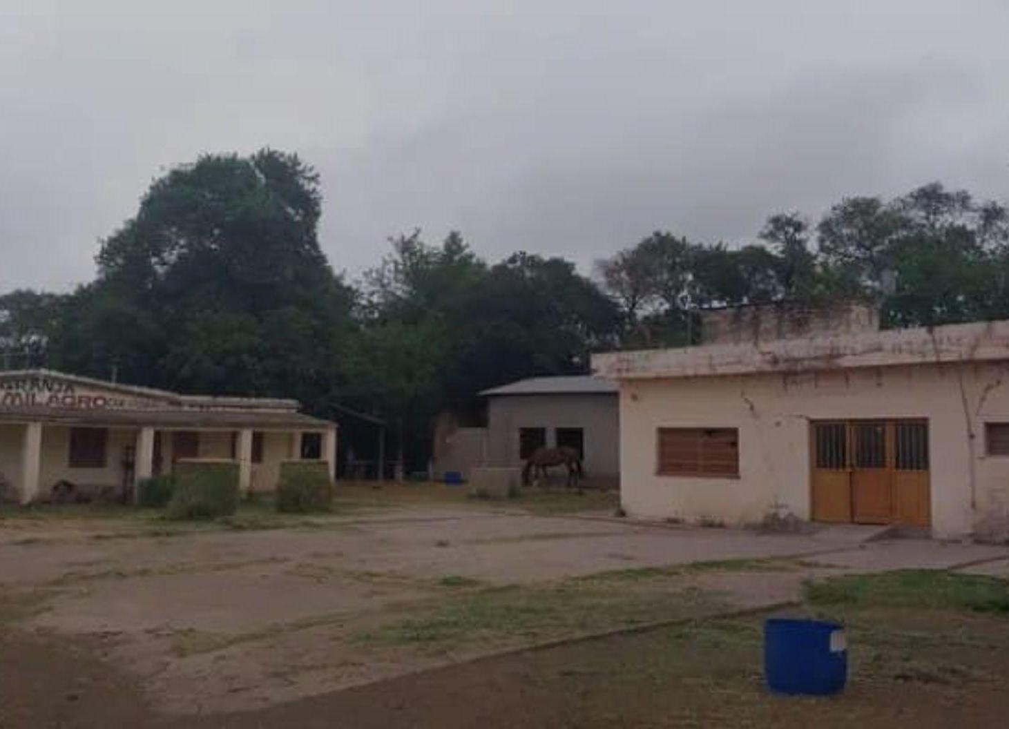 Foto de VENTA CAMPO AGRICOLA CAMINO 60 CUADRAS, CORDOBA, imagen 3