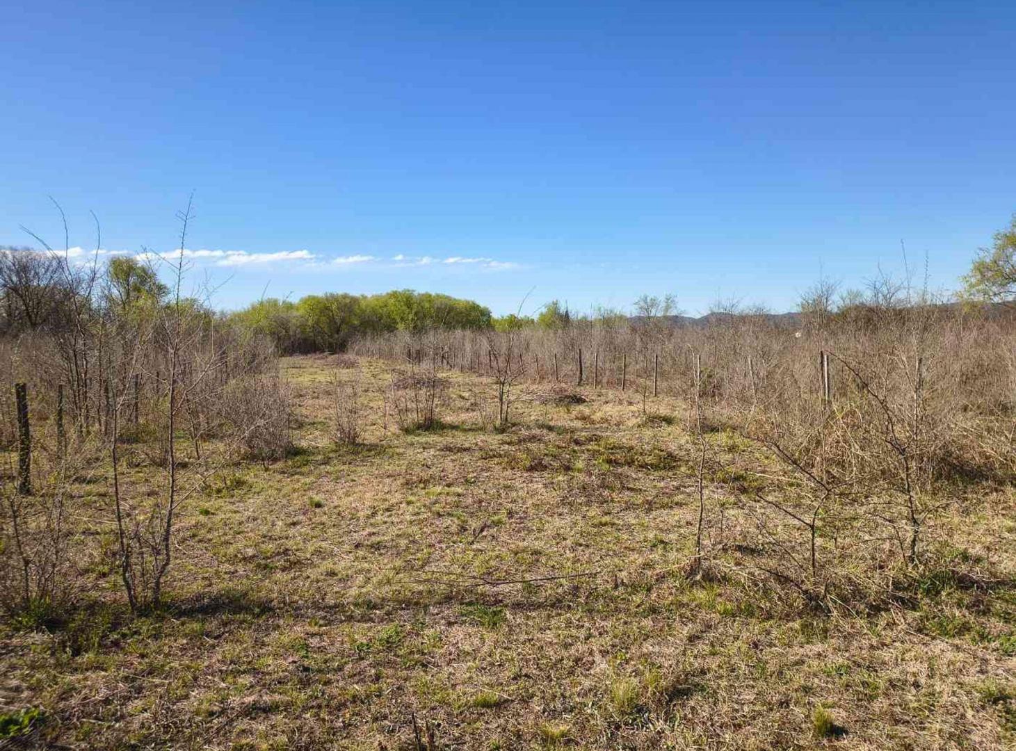 Foto de Venta Lote cerca del río en Los Reartes Córdoba, imagen 5