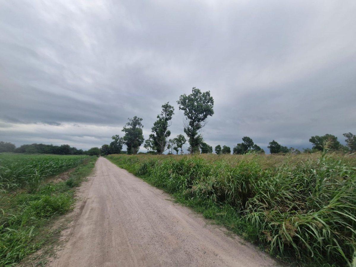 Foto de VENTA 16 HECTAREAS AGRICOLAS COLONIA CAROYA CBA, imagen 3