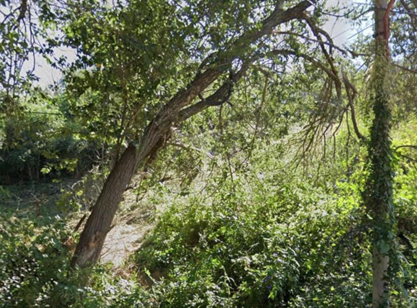 Foto de TERRENO EN VENTA BARRIO LA QUINTA, CARLOS PAZ, CBA, imagen 2