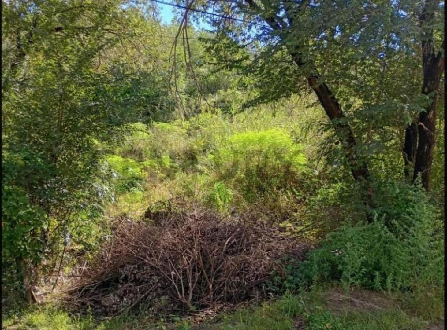 Foto de TERRENO EN VENTA BARRIO LA QUINTA, CARLOS PAZ, CBA, imagen 1