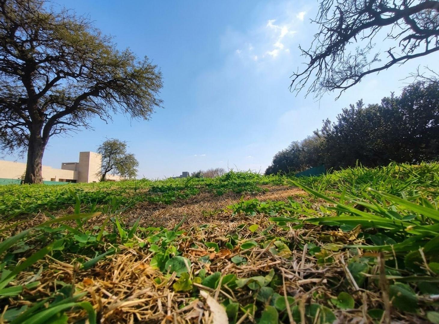 Foto de VENTA LOTE 1500 M2 CENTRAL SIETE SOLES CORDOBA, imagen 2