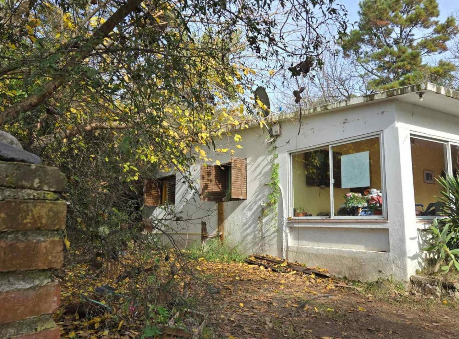 Foto de VENTA CAMPO 9.8 HECTAREAS SALSIPUEDES CÓRDOBA, imagen 3
