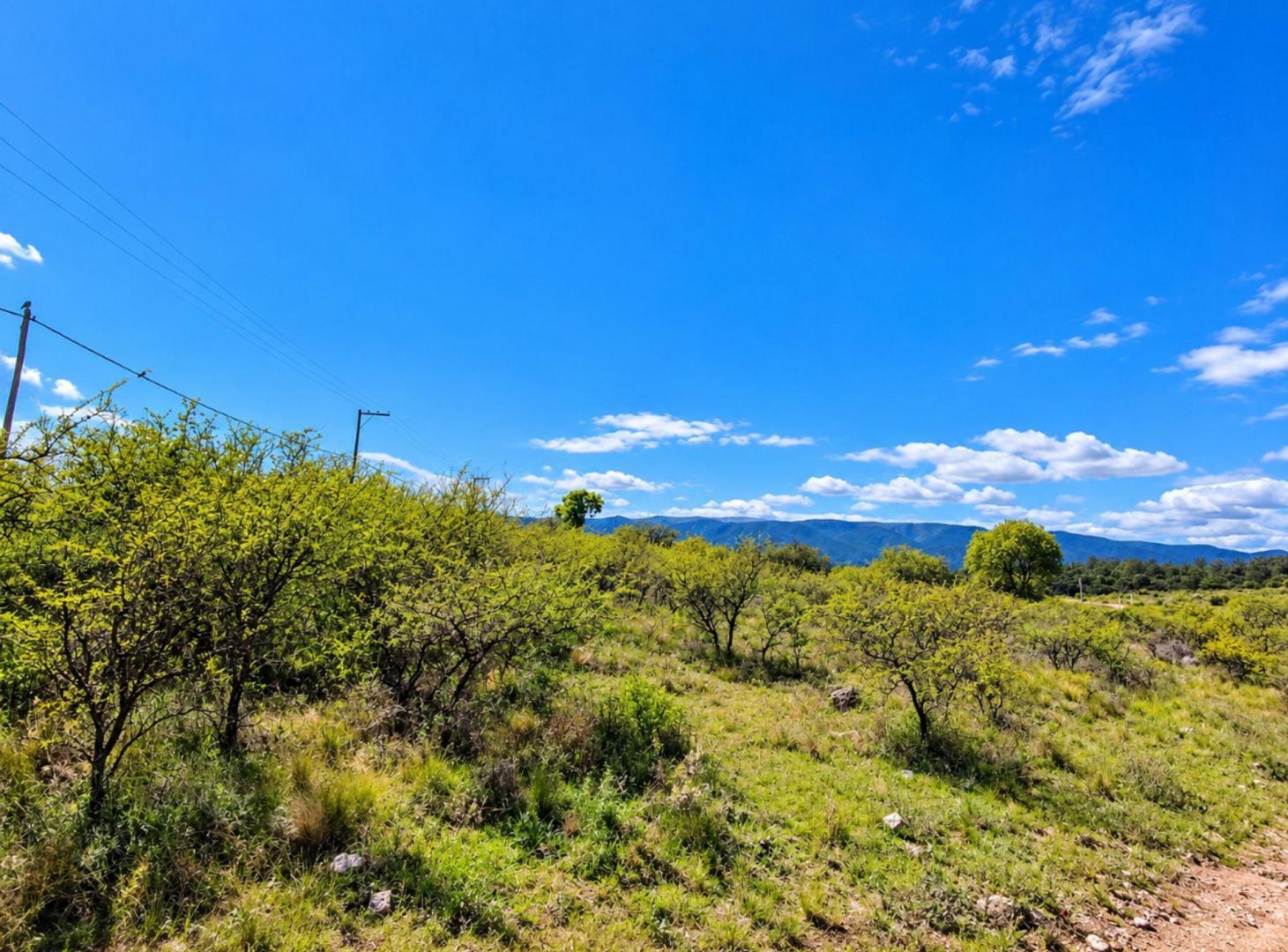Foto de VENTA TERRENO VILLA GENERAL BELGRANO 7566M CÓRDOBA, imagen 5