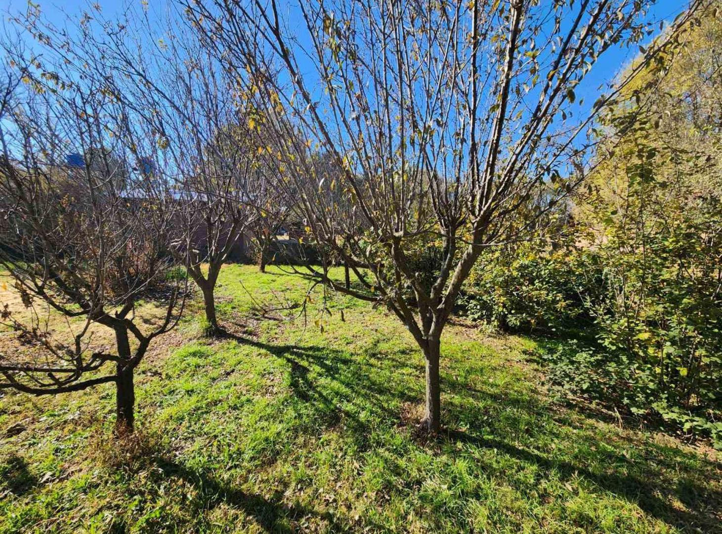 Foto de Se vende terreno Santa Rosa de Calamuchita Córdoba, imagen 2