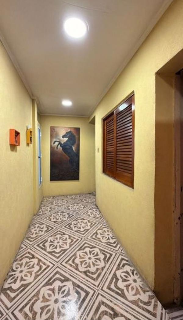Foto de Casa 5 ambientes en Lote Propio con pileta, jardín y terraza – Mataderos, imagen 2
