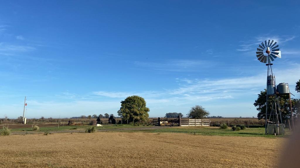 Venta de Casa Quinta de 3 Ambientes en Pergamino 3