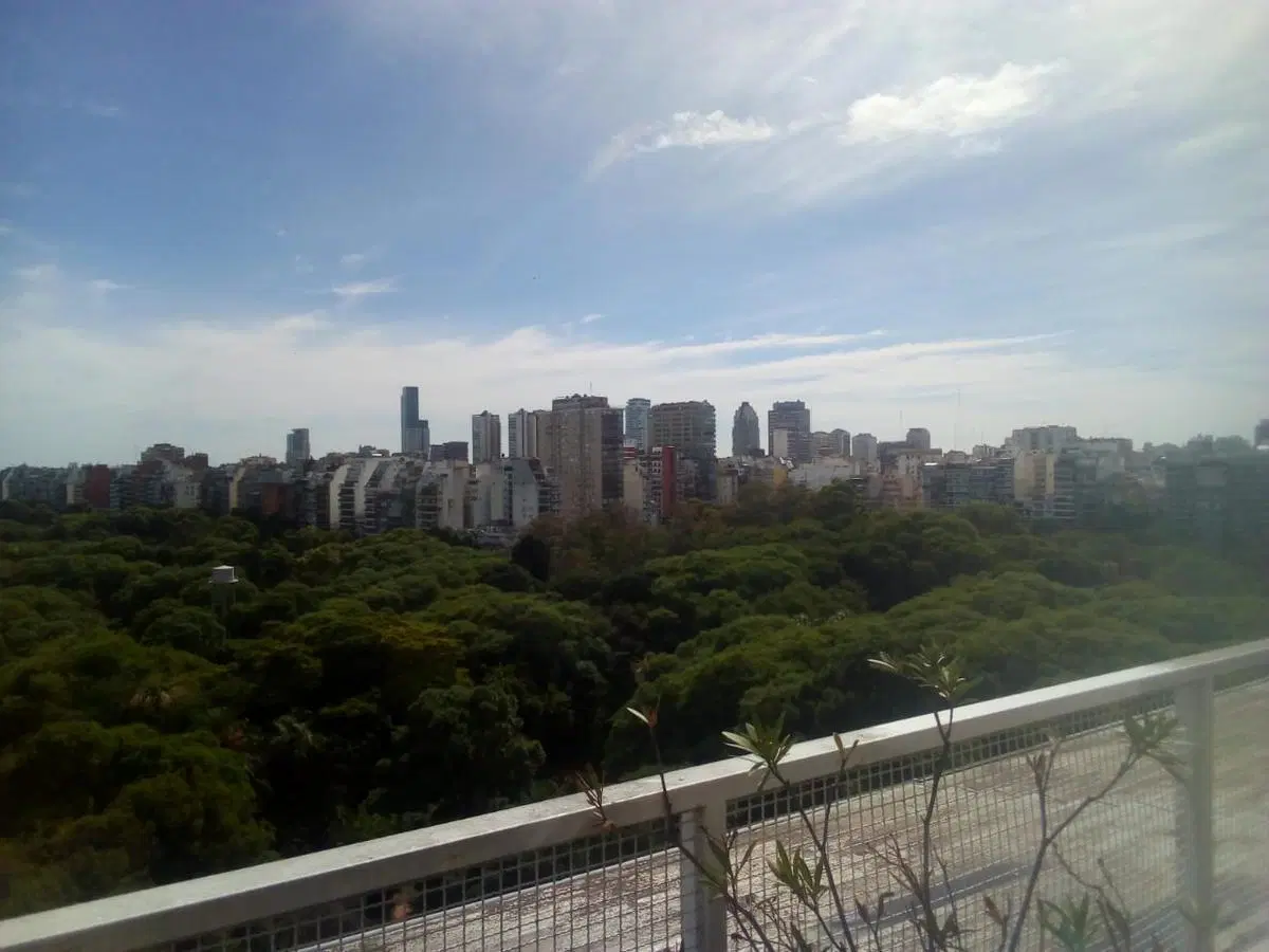 Departamento - Botanico 2