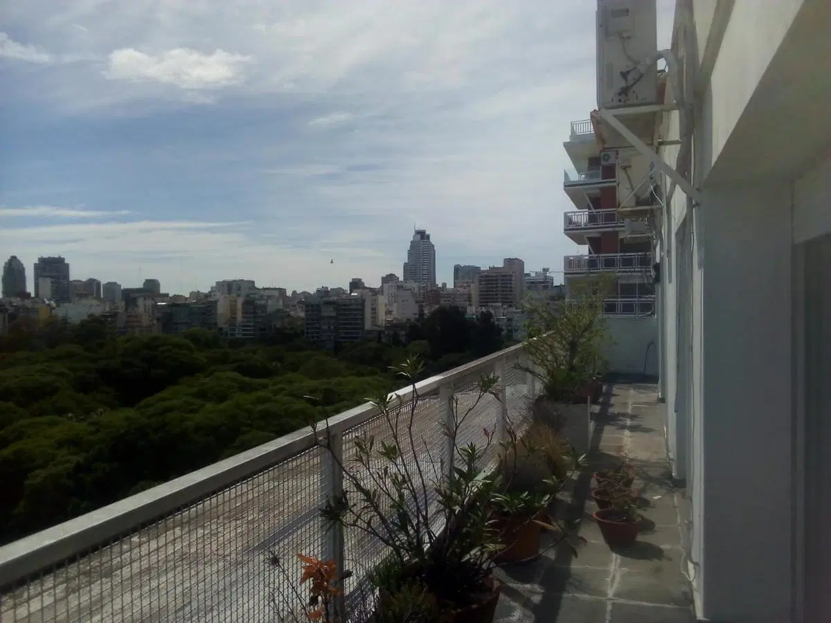 Departamento - Botanico 4