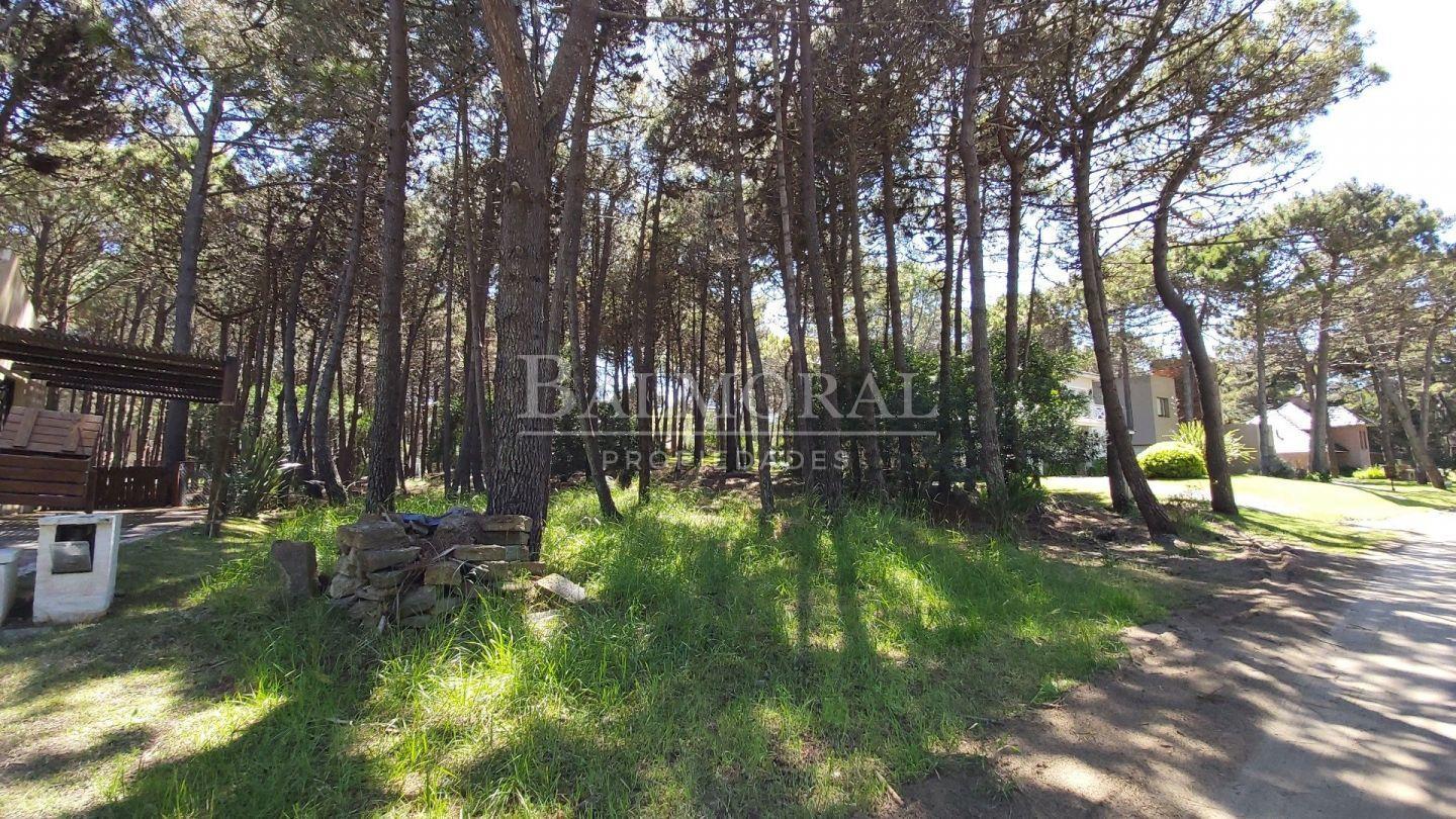 Lote en Venta - Zona Aromos / REF: 1572