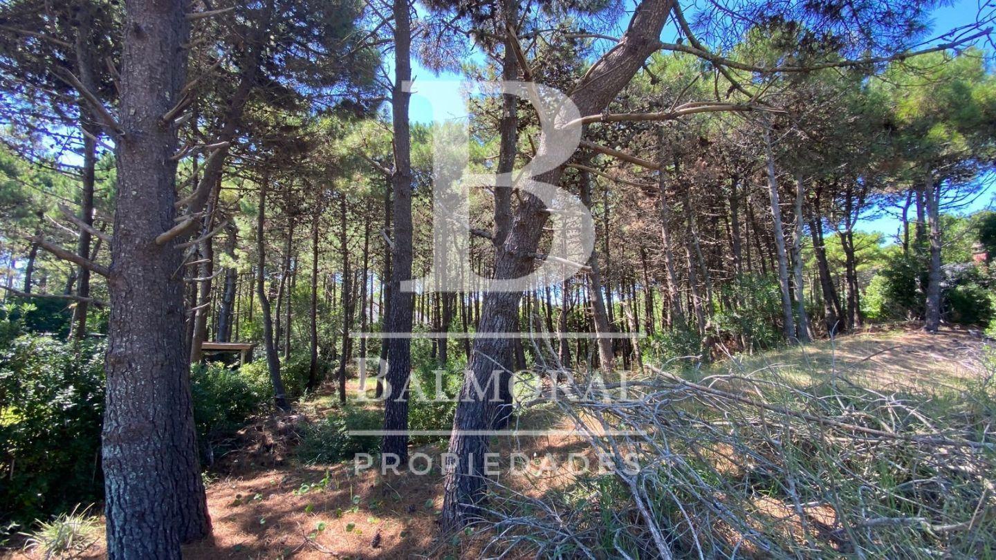 Lote en Venta . | Artemisa