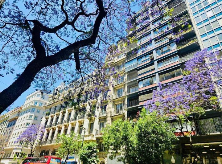 VENTA DEPARTAMENTO CATEGORIA CENTRO COCHERA BAULER 5