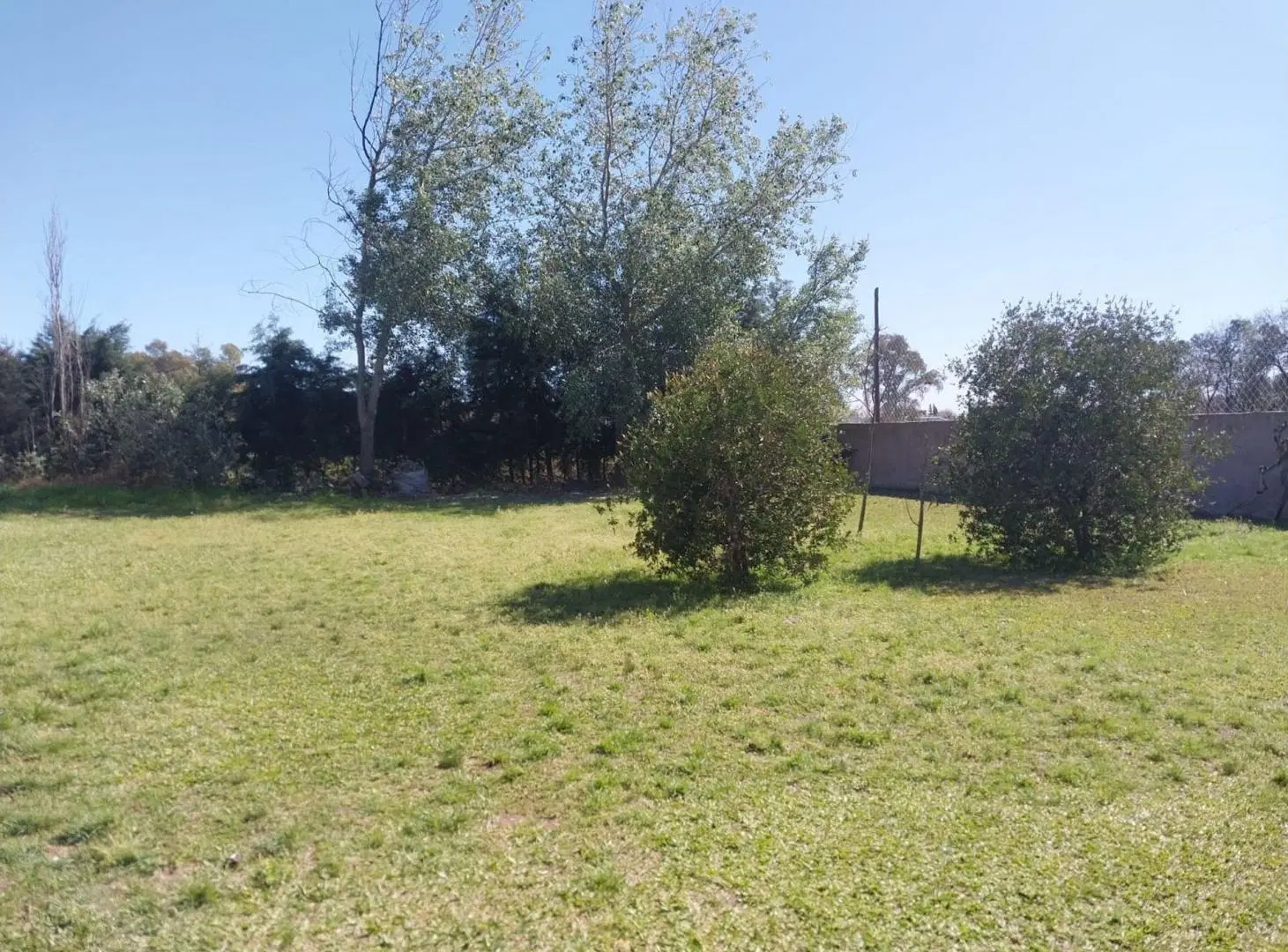 Venta de terreno en Zarate con casa y pileta 3
