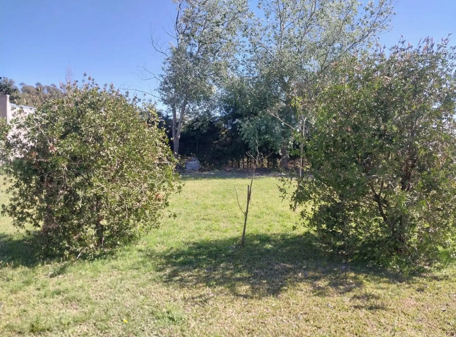 Venta de terreno en Zarate con casa y pileta 5