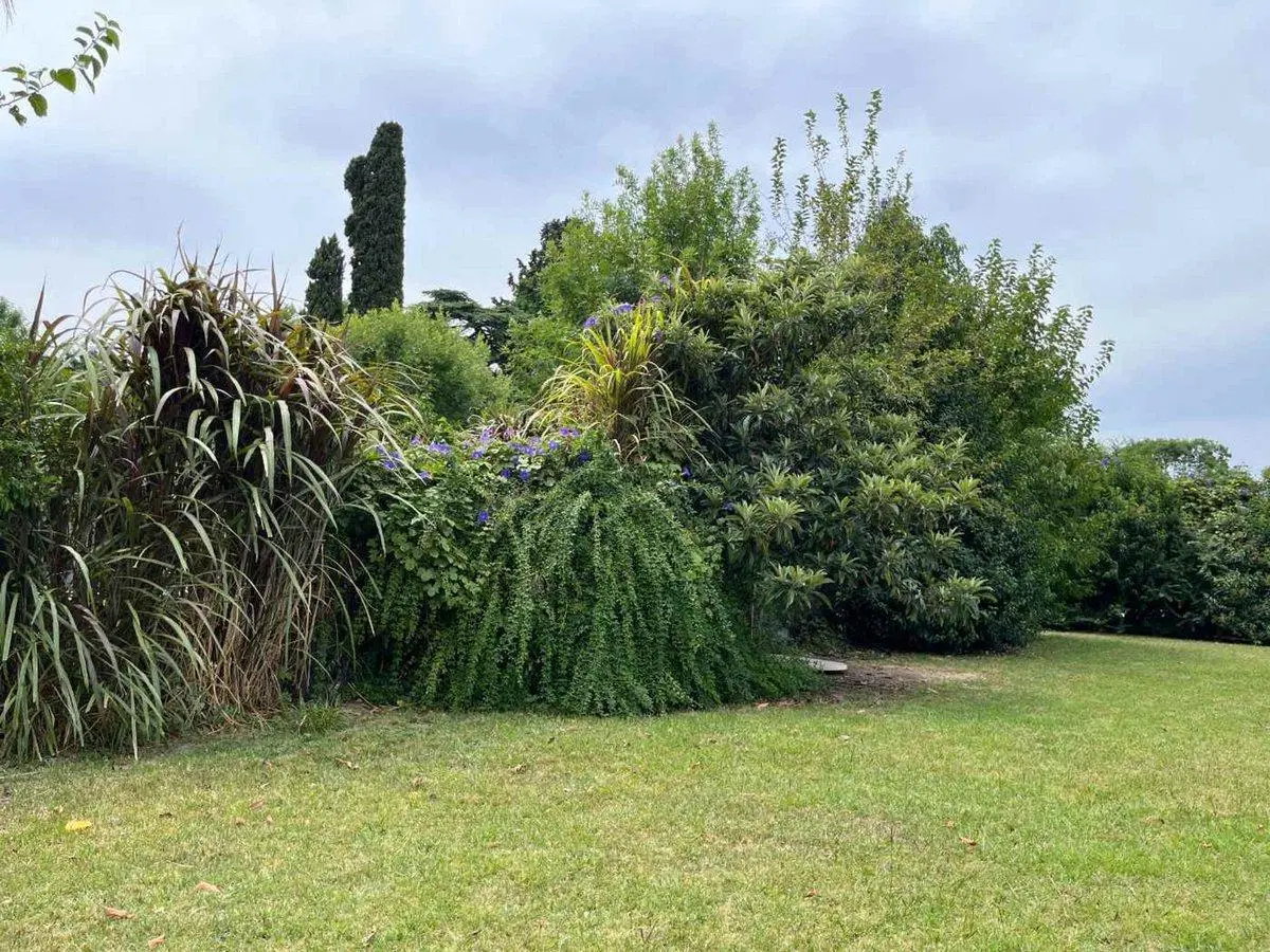 LOTE EN VENTA · BENAVIDEZ – TIGRE 5