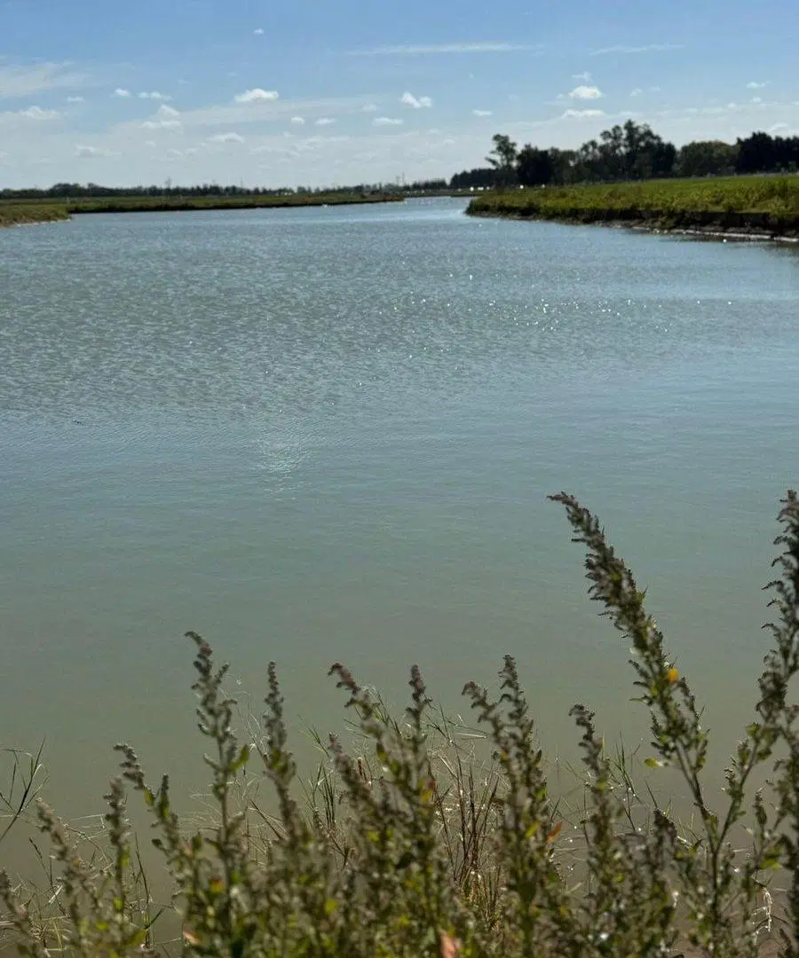LOTE EN VENTA "LAS VICTORIAS" CANNING A LA LAGUNA 2