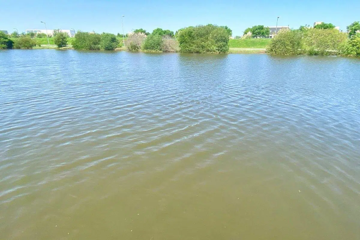 Venta Casa 1 Planta 5 Amb. Pileta a Laguna Cantón 3