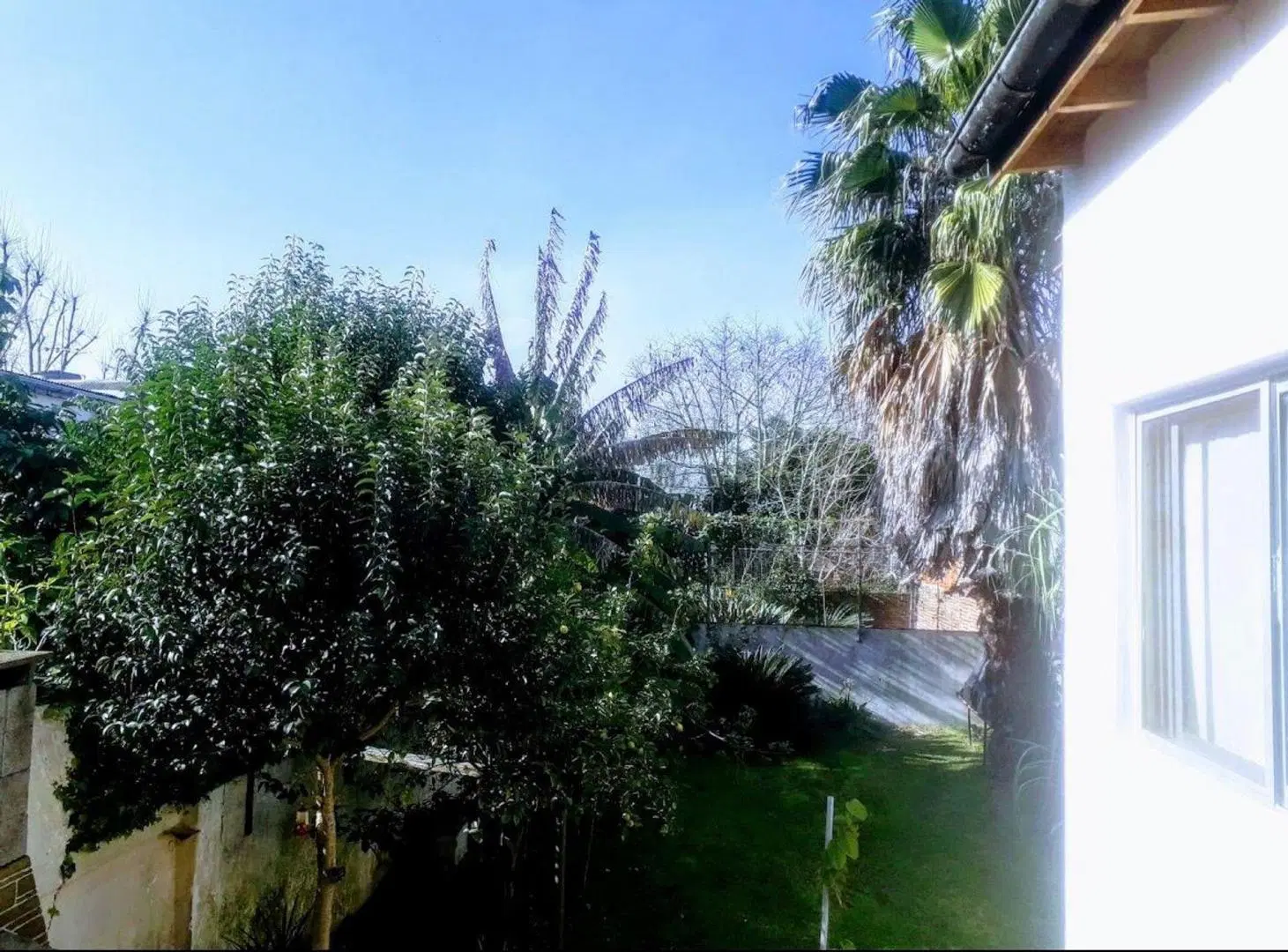 Casa en Venta en Tigre Residencial Local y Jardín 3