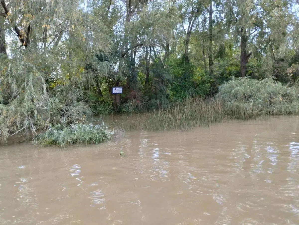 VENTA DE LOTE EN EL DELTA DE TIGRE PRIMERA SECCIÓN 4