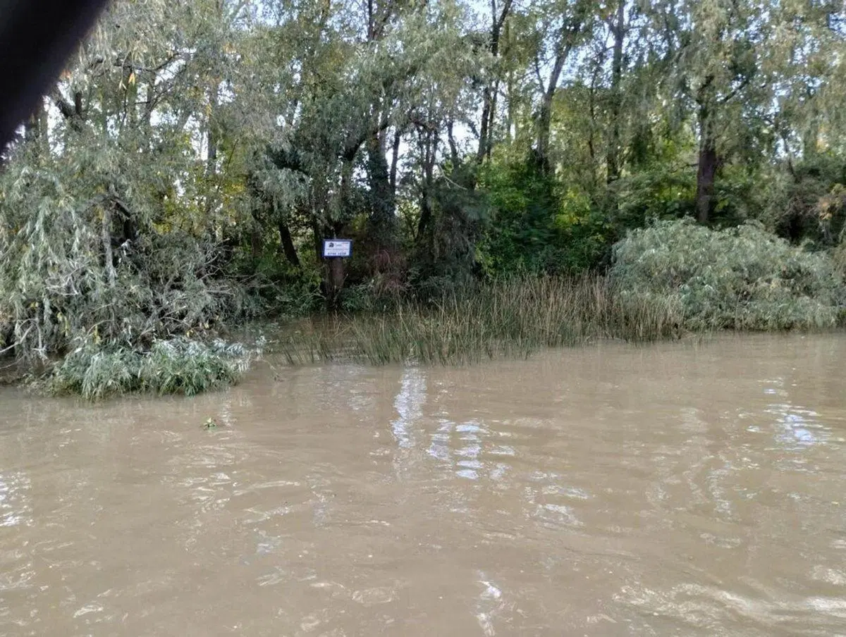 VENTA DE LOTE EN EL DELTA DE TIGRE PRIMERA SECCIÓN 8
