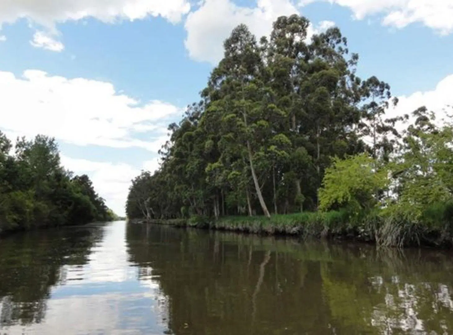 VENTA CHACRA BAHÍAS DEL PARANÁ- AL CANAL STA MARÍA 8