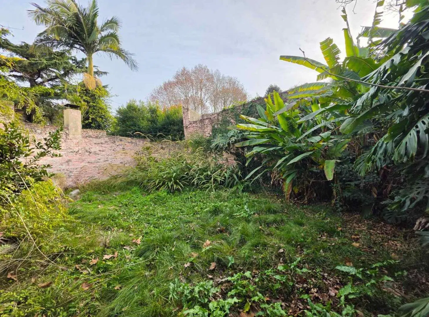VENTA LOTE C/ CASA A REFACCIONAR TIGRE RESIDENCIAL 8