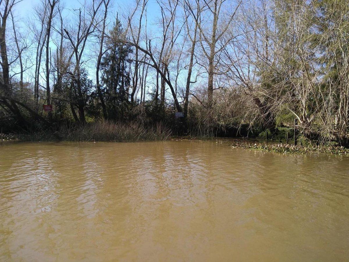 Foto de VENTA DE LOTE EN EL DELTA DE TIGRE PRIMERA SECCIÓN, imagen 2