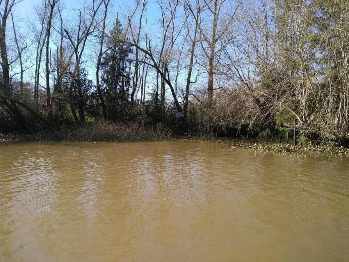 VENTA DE LOTE EN EL DELTA DE TIGRE PRIMERA SECCIÓN 2
