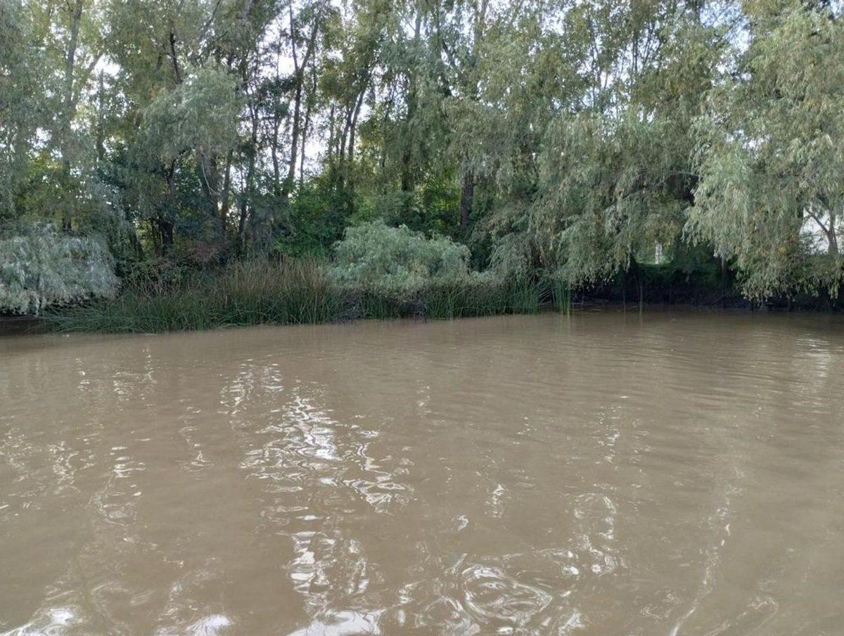 Foto de VENTA DE LOTE EN EL DELTA DE TIGRE PRIMERA SECCIÓN, imagen 4