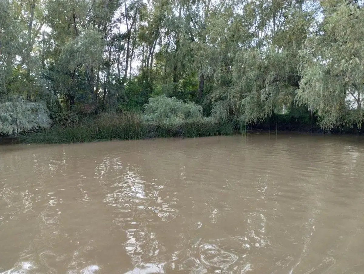 VENTA DE LOTE EN EL DELTA DE TIGRE PRIMERA SECCIÓN 4