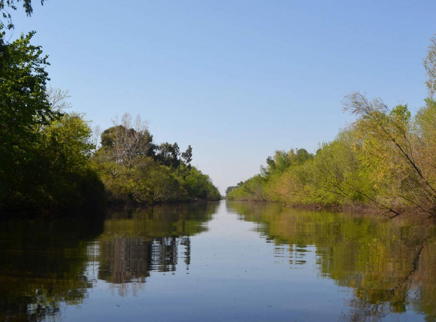 Foto de VENTA LOTE EN BAHÍAS DEL PARANÁ -AL CANAL INFERIOR, imagen 5