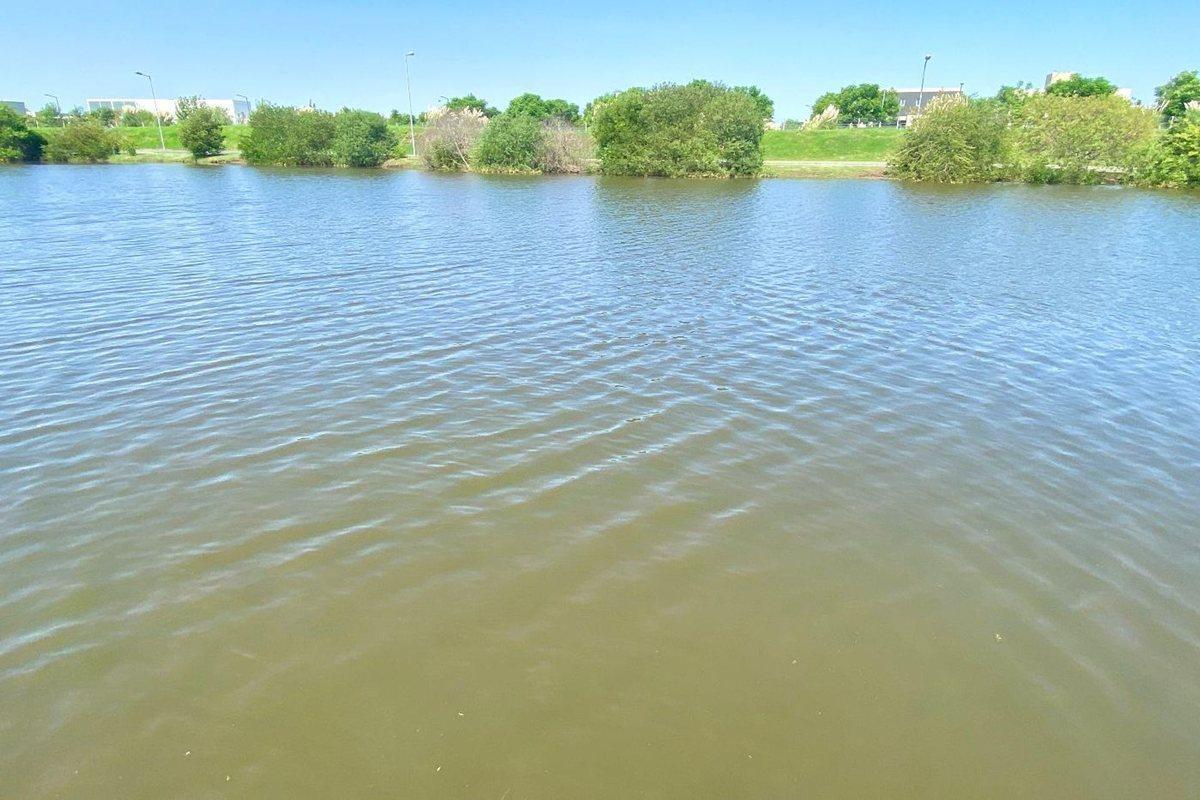 Foto de Venta Casa 1 Planta 5 Amb. Pileta a Laguna Cantón, imagen 3
