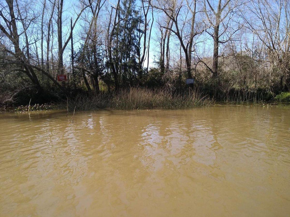 Foto de VENTA DE LOTE EN EL DELTA DE TIGRE PRIMERA SECCIÓN, imagen 2