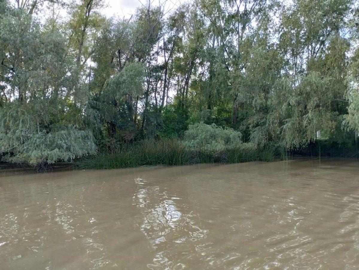 Foto de VENTA DE LOTE EN EL DELTA DE TIGRE PRIMERA SECCIÓN, imagen 4